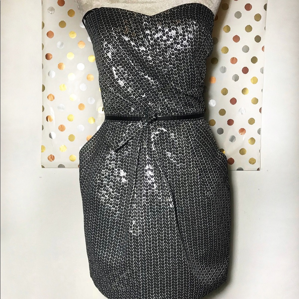 Anthro Alexa Tulip Sweetheart Sequin Metal Dress